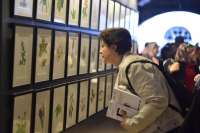 We made the opening of the Second Part of our "Every Aspect of Flower" Thematic Exhibition in the Republican Museum.